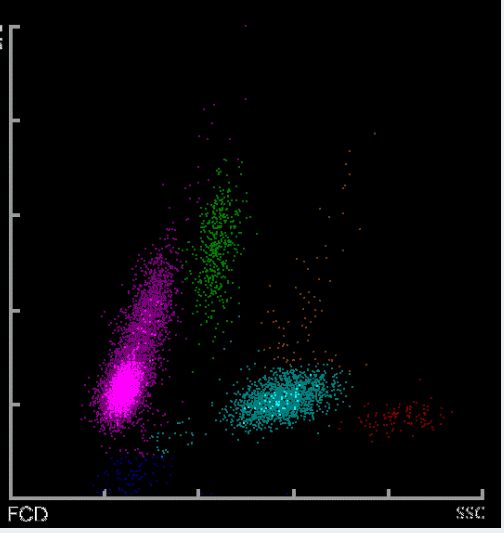18种嘿嘿嘿 我还没有学会回答这个问题