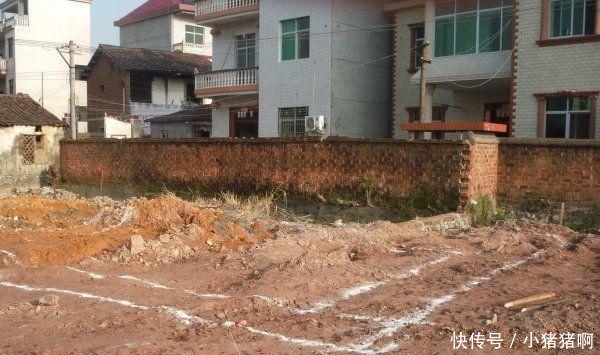 小鲜肉 小马拉大车 马拉促进社会和谐与进步