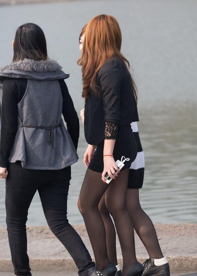 啄木鸟马蹄铁 鸟马旅行的蹄铁象征）并置