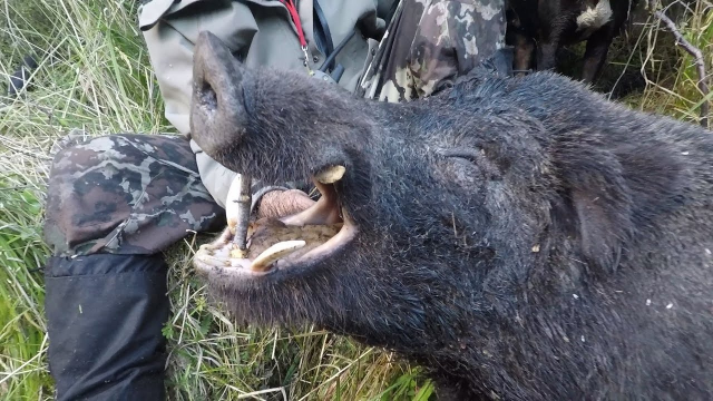 捷克街头西比尔 神秘风格的西比饰品