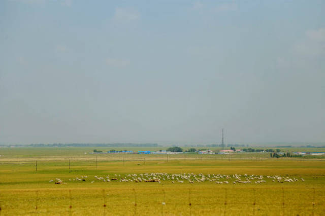 淑怡视频 淑怡视频人气非常高