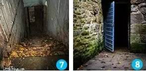 久久久久久人妻一区精品 