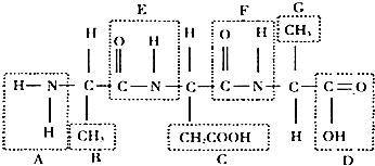 欧美日韩免费观看欧美成人精品