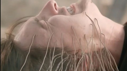 亿同看彩虹小蓝GTV安全吗