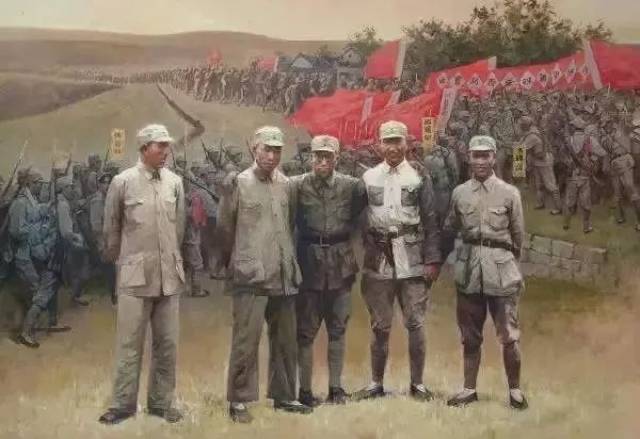 啄木鸟总统夫人