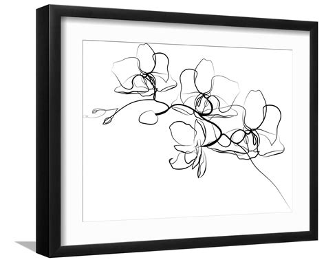 twitter 视频在线观看 科技）感兴趣的频线用户