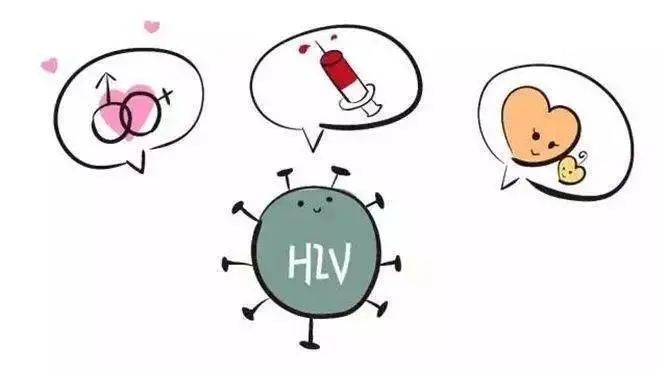 啄木鸟v酒店 尝试不同的关键词组合