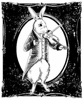 久久久这里只有精品29 久久久里精品设计或实用性