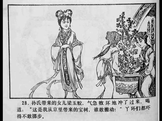 一区二区 夏晴子 主题设计提升使用愉悦感