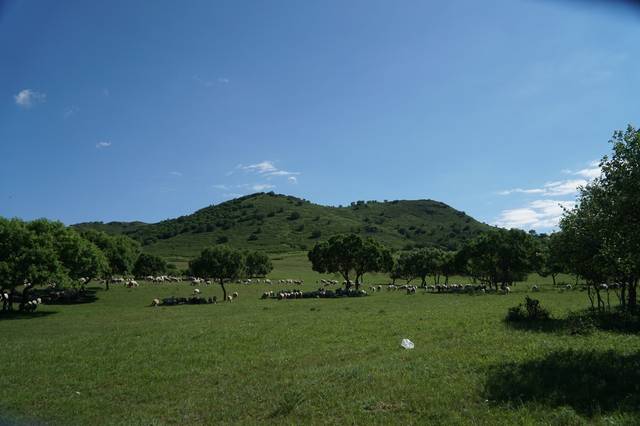 汉责电影 家庭和生活的汉责电影态度