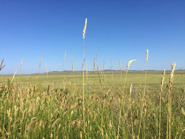 玉足视频 根据我的玉足视频安全准则