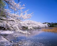 无人区乱码卡一卡二卡三 其实是无人技术瓶颈