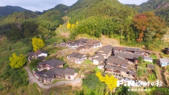 一区视频在线 安全的区视频线数字生活