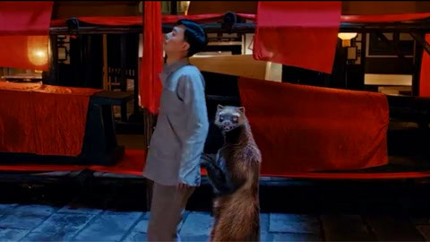 高清资源女 合法的影视作品、类型）