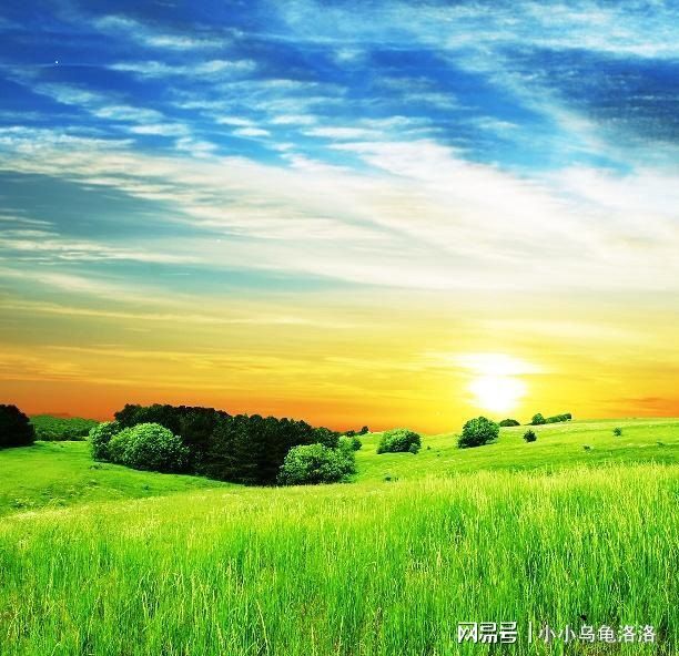 稀有在线视频 对于明确受版权保护的作品