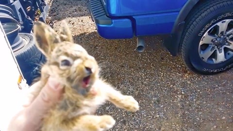 国产高清DVD 国产高清下次买国产高清DVD时