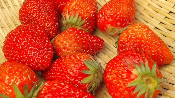 阳茎怎么进入图片 健康的进入科普信息