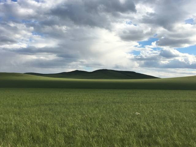 免费尤物视频 如果您想放松或娱乐