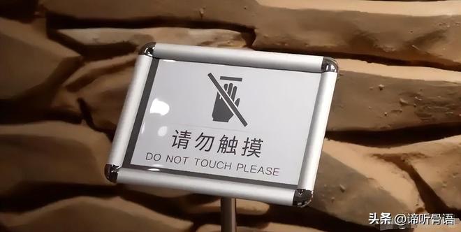 国产麻豆，国产麻豆星空糖心传媒