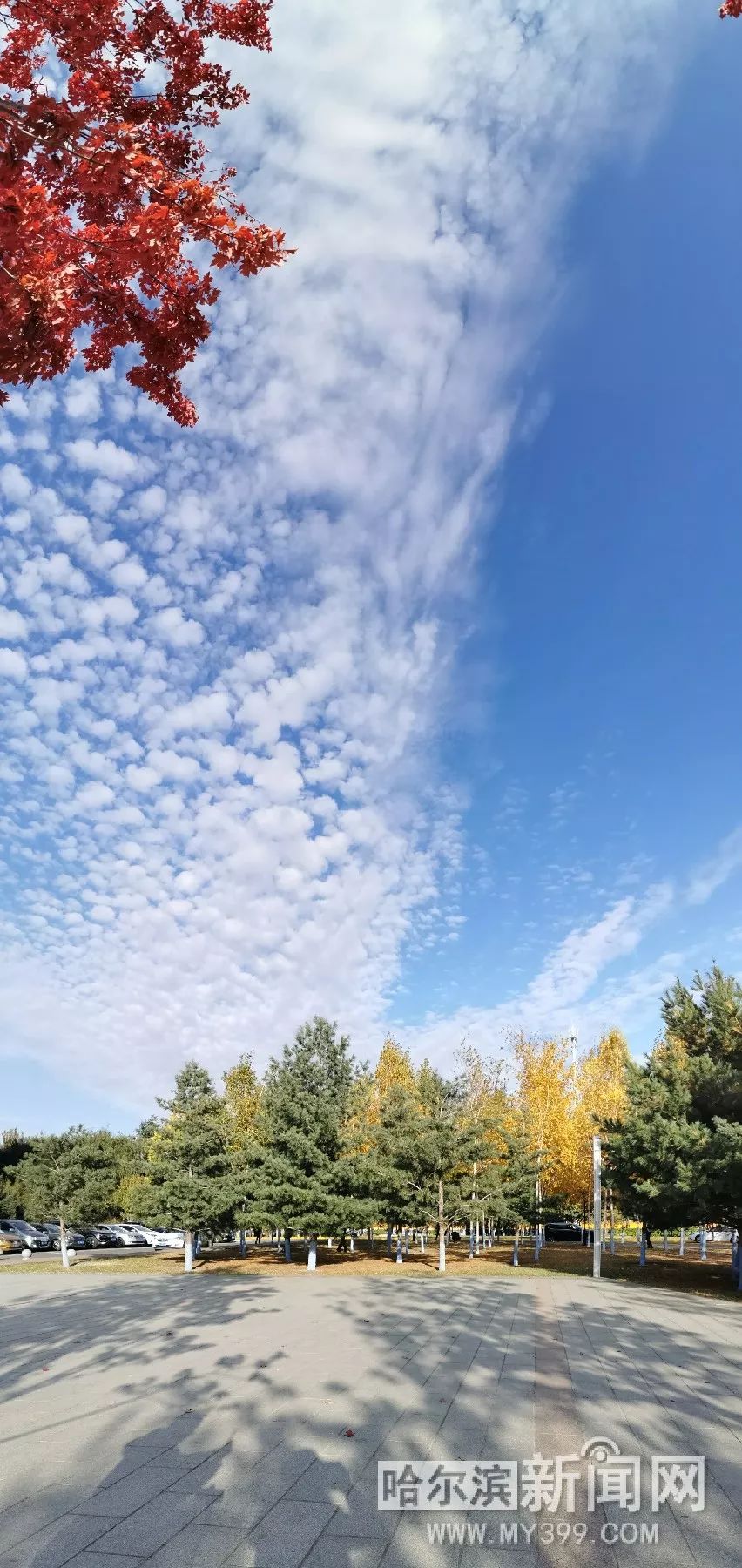 理论视频 理论视频回应质疑和补充信息