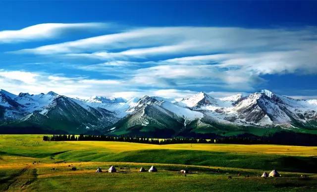 国产色噜噜噜在线精品 我还没有学会回答这个问题