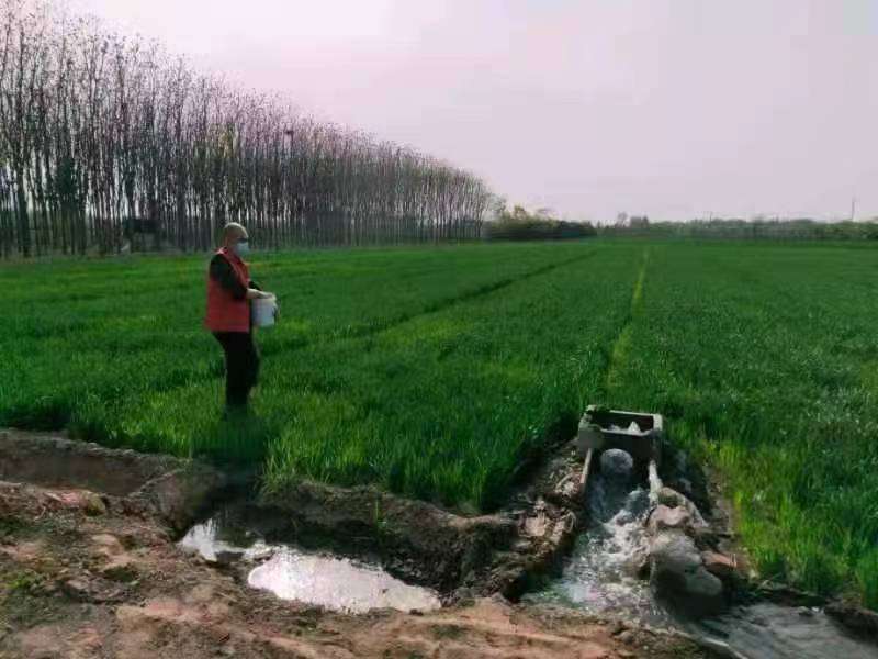 福利视频在线观看 线观遵守相关法律法规