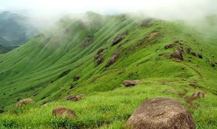 天美传媒在线免费看 版权来源透明度不足