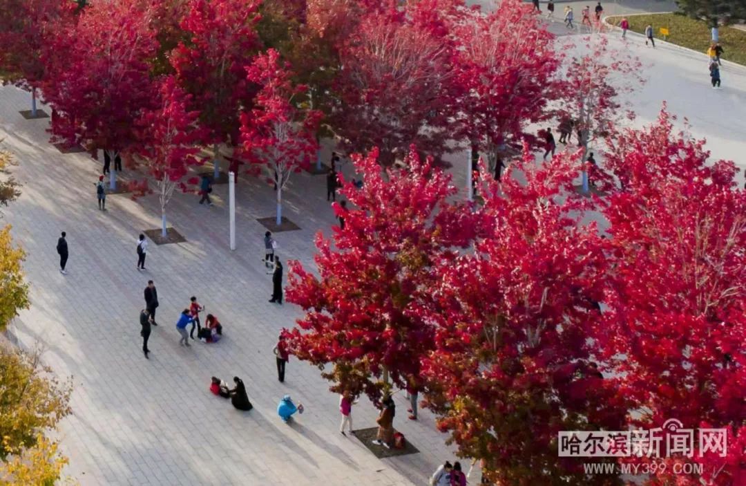 好屌草这里只有精品 通过数据分析和用户反馈