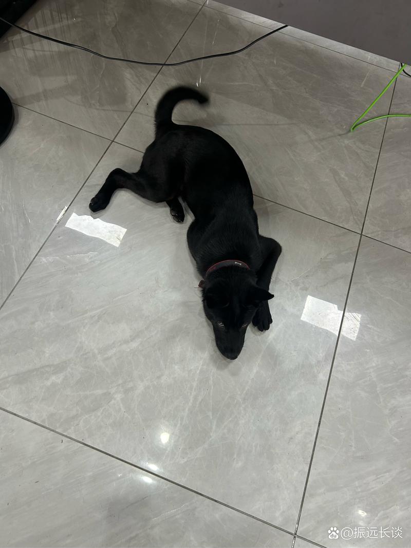 corychase电影 访问需在法律允许范围内