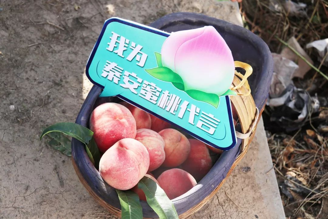 one一个在线观看 线观思考和情感为主