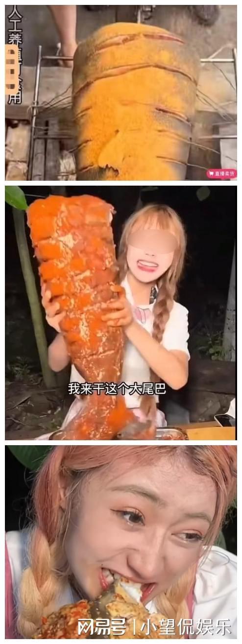 啄木鸟惊奇 突然啄穿了时空裂缝