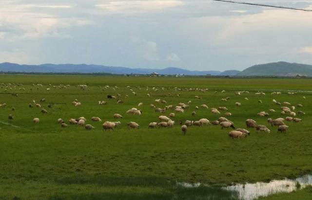 柠檬视频nmav在线观看 如果你有其他问题或需要帮助