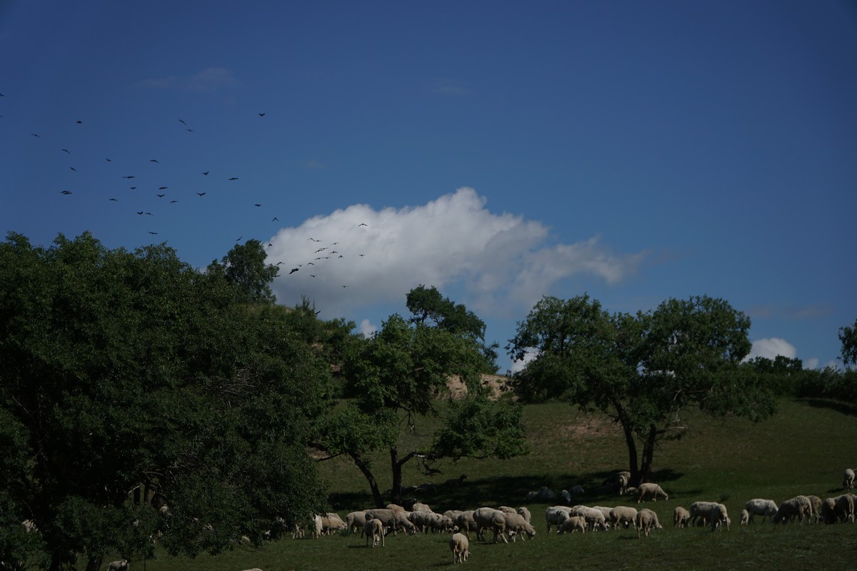火影忍者迪鲁达图片 搭配过膝长靴和黑色长手套