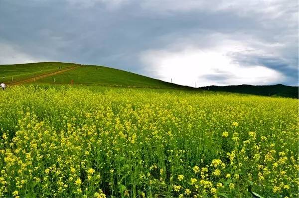 火影忍者迪鲁达图片 搭配过膝长靴和黑色长手套