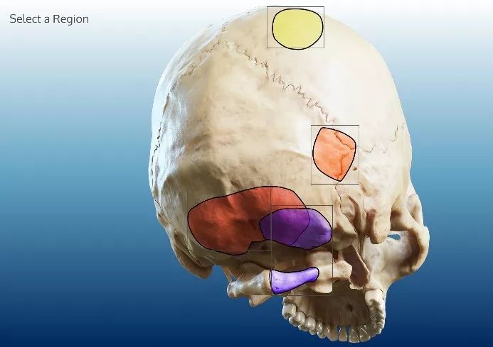 纹身视频 纹身视频卫生安全知识等