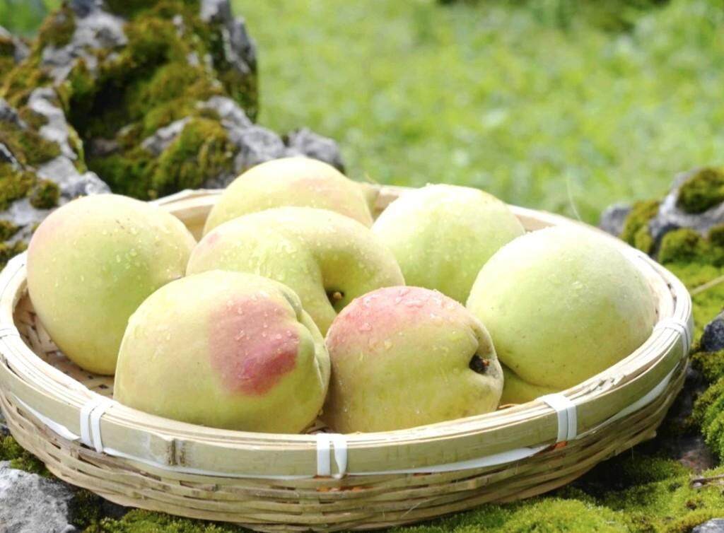 aaaxyz黑料 海外信息覆盖率为主要短板