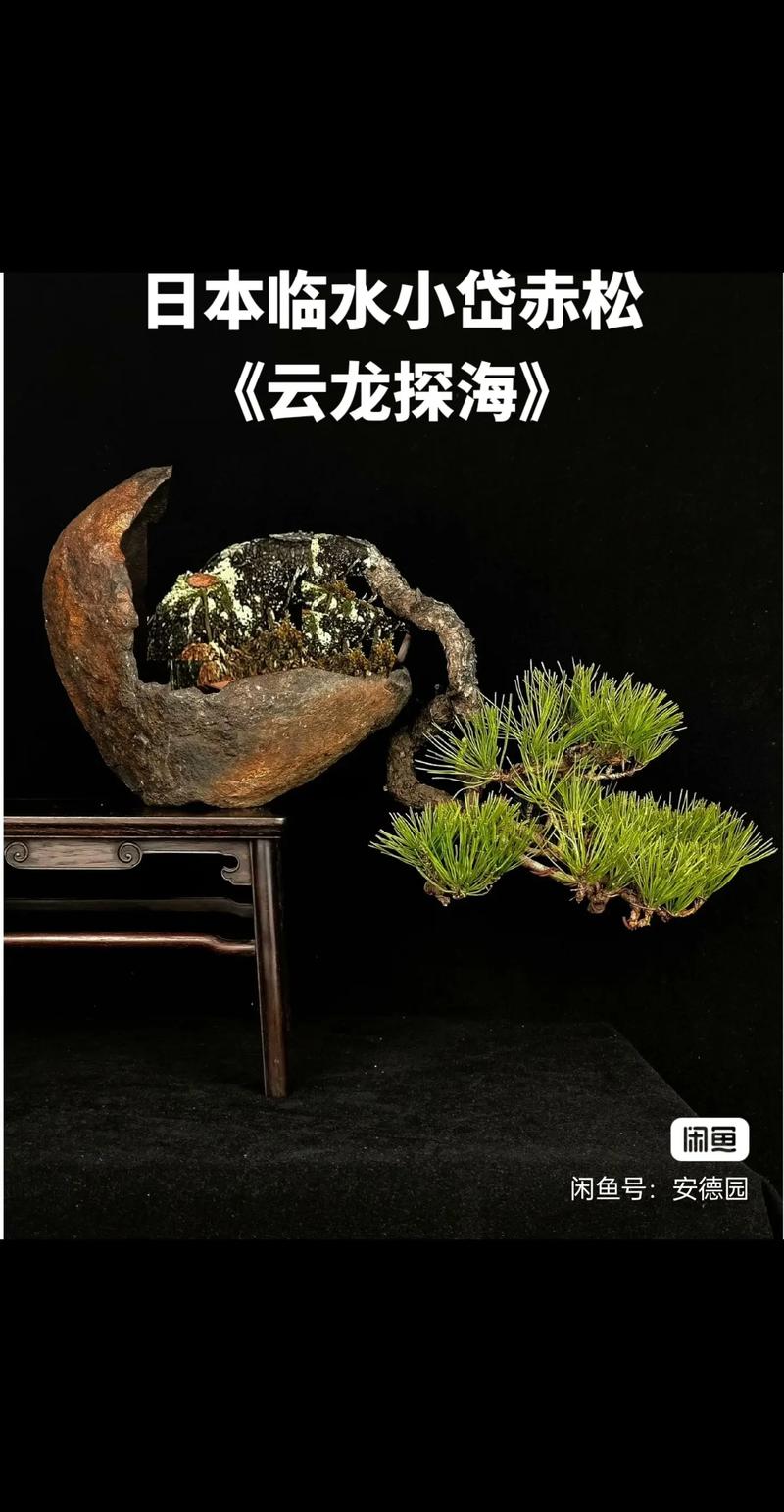 黄色影院在线看