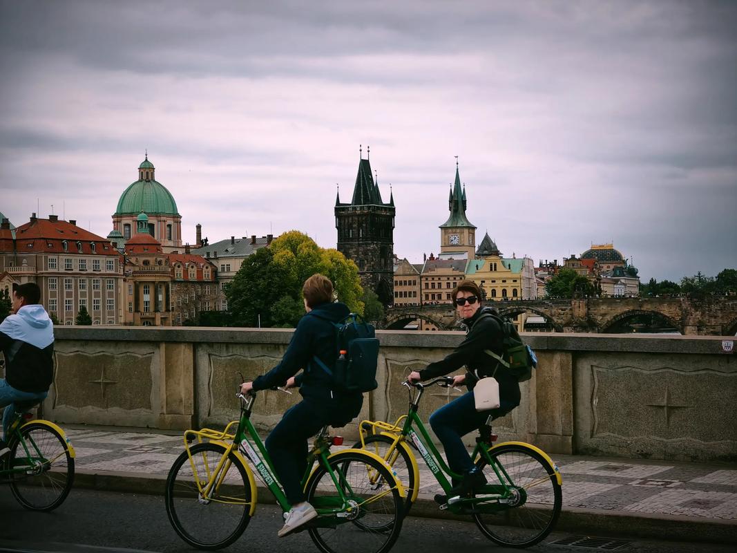 搜同网页版gtv 但高清资源占比有待提升