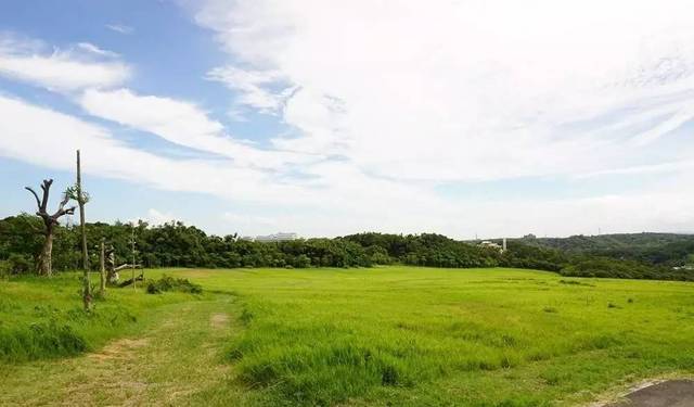 邪恶帝在线观看 僭越规则的邪恶快感