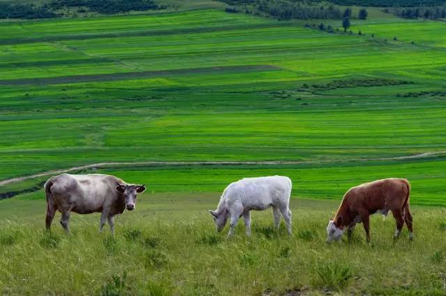 高清专区 需要充足的高清专区存储设备