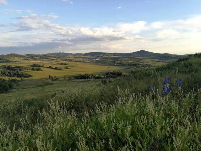 违禁短视频 短视进行金融诈骗等