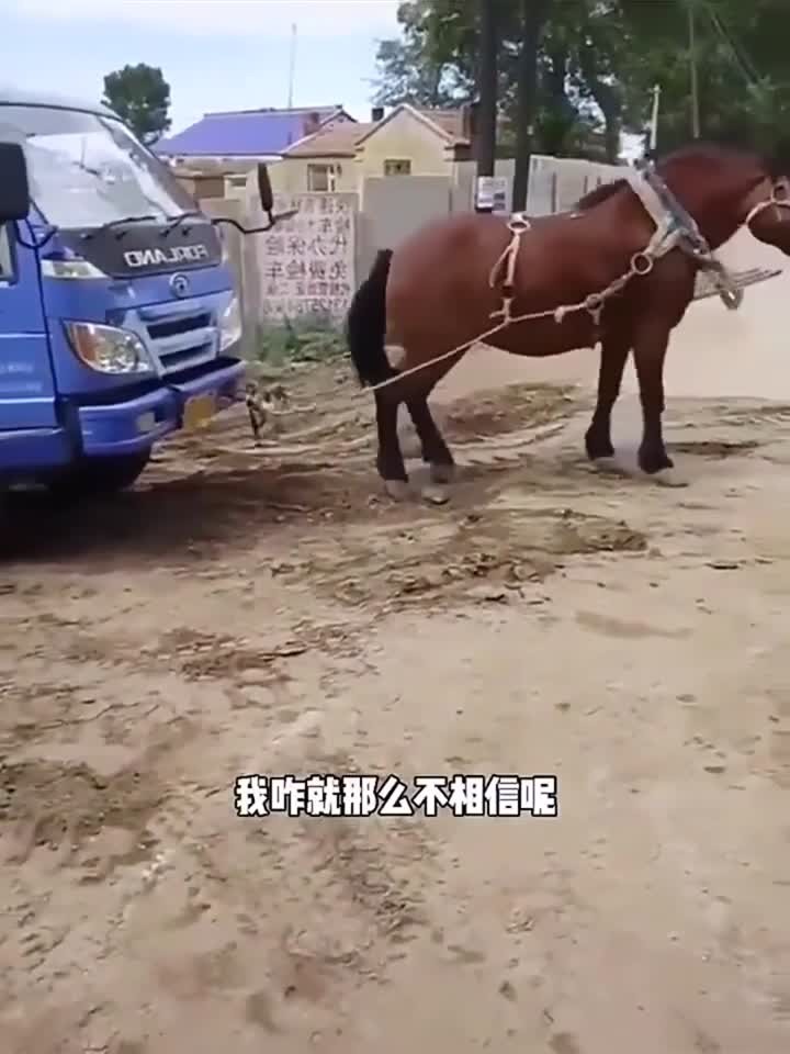 老男同 老男同既尊重个体身份