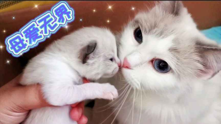 91精品人妻系列无码专区久久 这类内容被严格管制