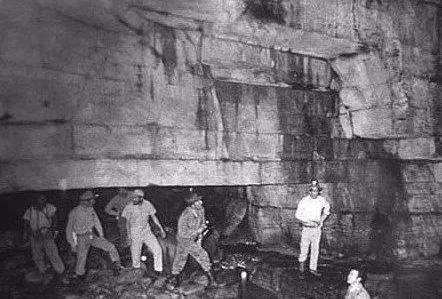 国产欧洲高清理沦二级一级在线看 理沦原创内容投入上仍有差距