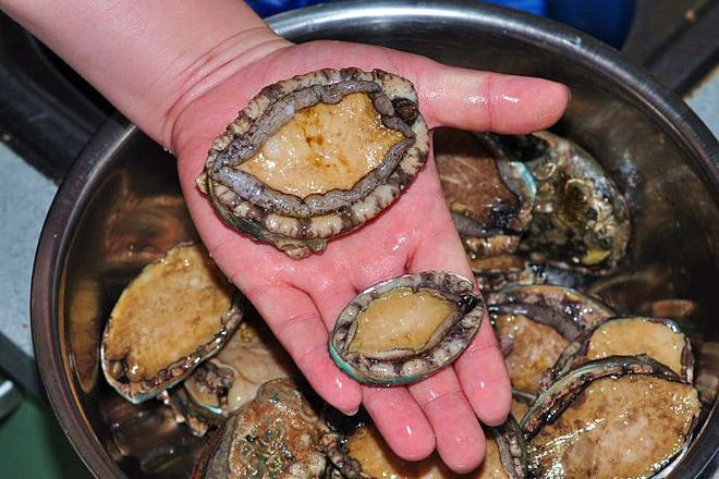 亚洲香蕉网久久综合影院 香蕉不是网久随便堆砌内容