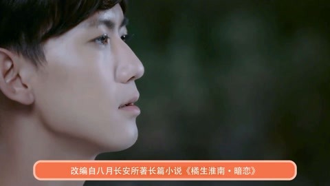 中文字幕在线精品视频站 