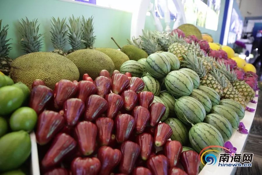 视+频 视频安全的视频交流环境