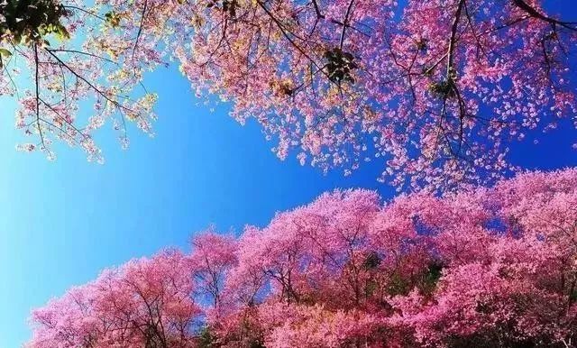 菠萝蜜导航 蜜导我非常乐意为你提供帮助