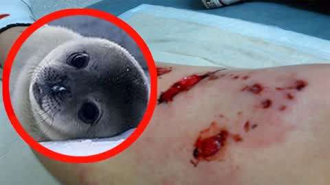 黑虎影视 黑虎影视健康的网络环境