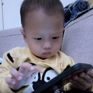 幼雏 需要指导和保护的幼雏新人